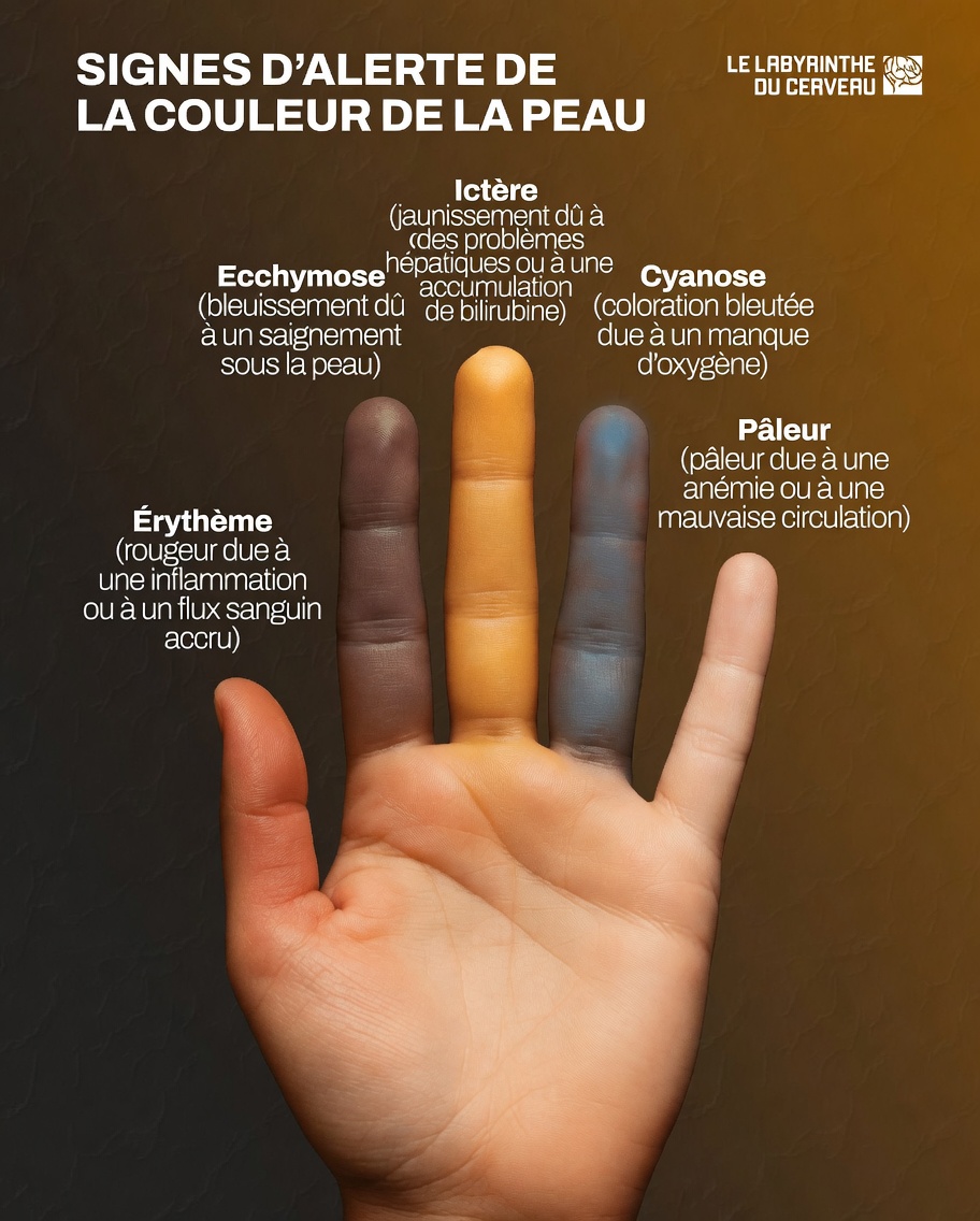 7 signes avant-coureurs d’artères obstruées dans vos jambes et vos pieds – N’ignorez pas ces signaux silencieux