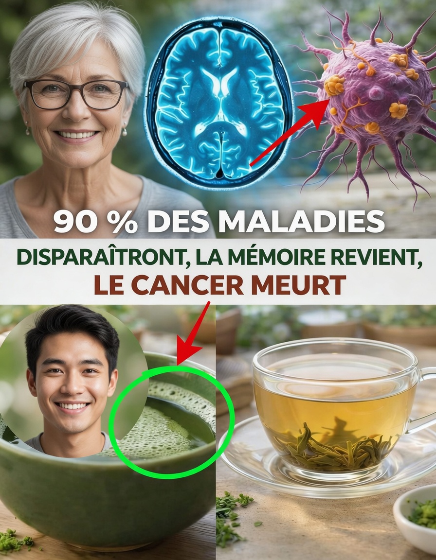 5 aliments puissants qui soutiennent la santé du cerveau en vieillissant – éclairages d’experts en imagerie cérébrale