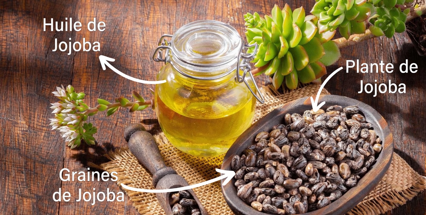 Huile de ricin : comment l’utiliser pour améliorer votre santé et transformer vos cheveux