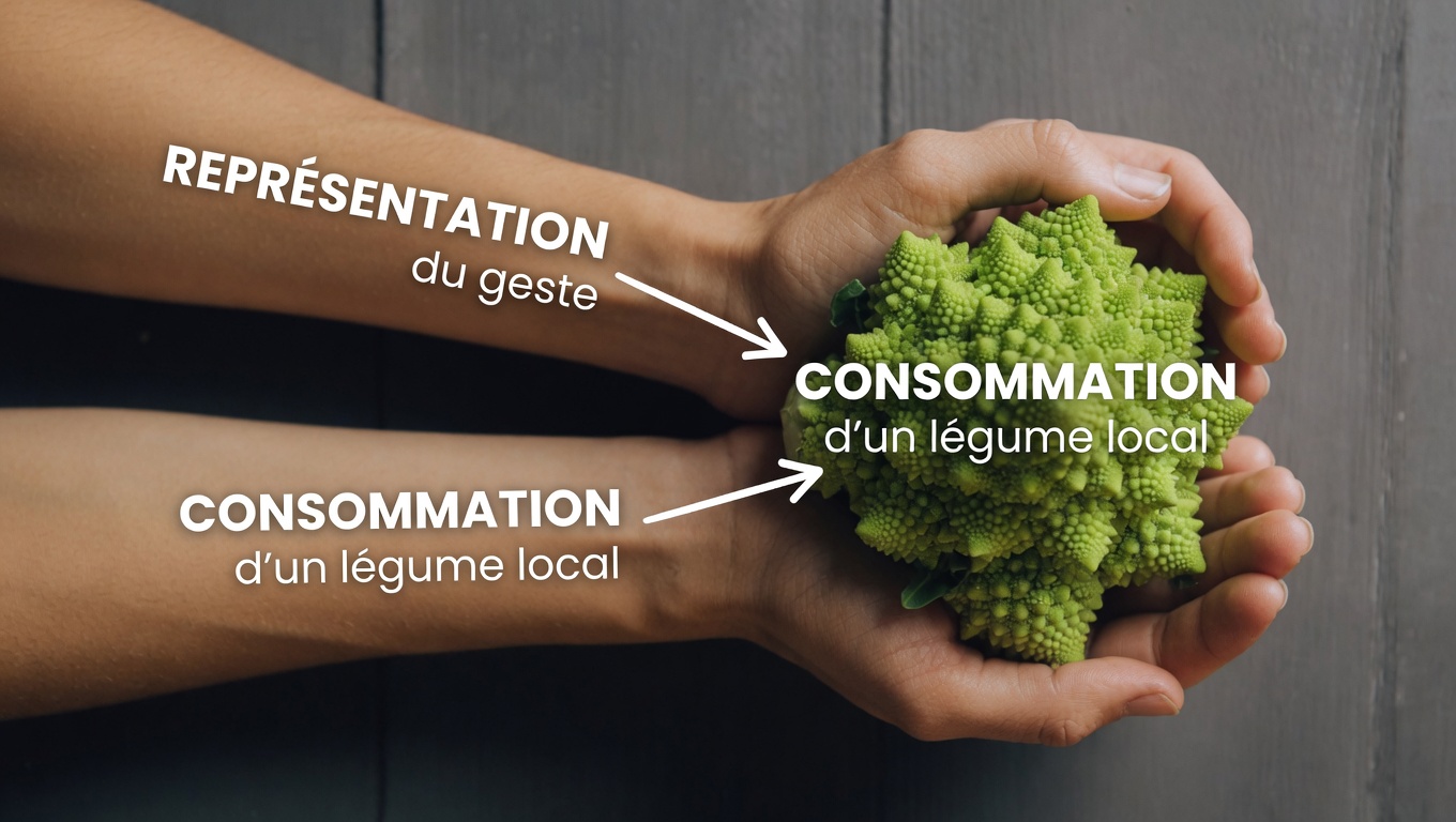 Découvrez les légumes susceptibles de contribuer à l’inconfort digestif et comment explorer des alternatives plus douces pour un bien-être au quotidien