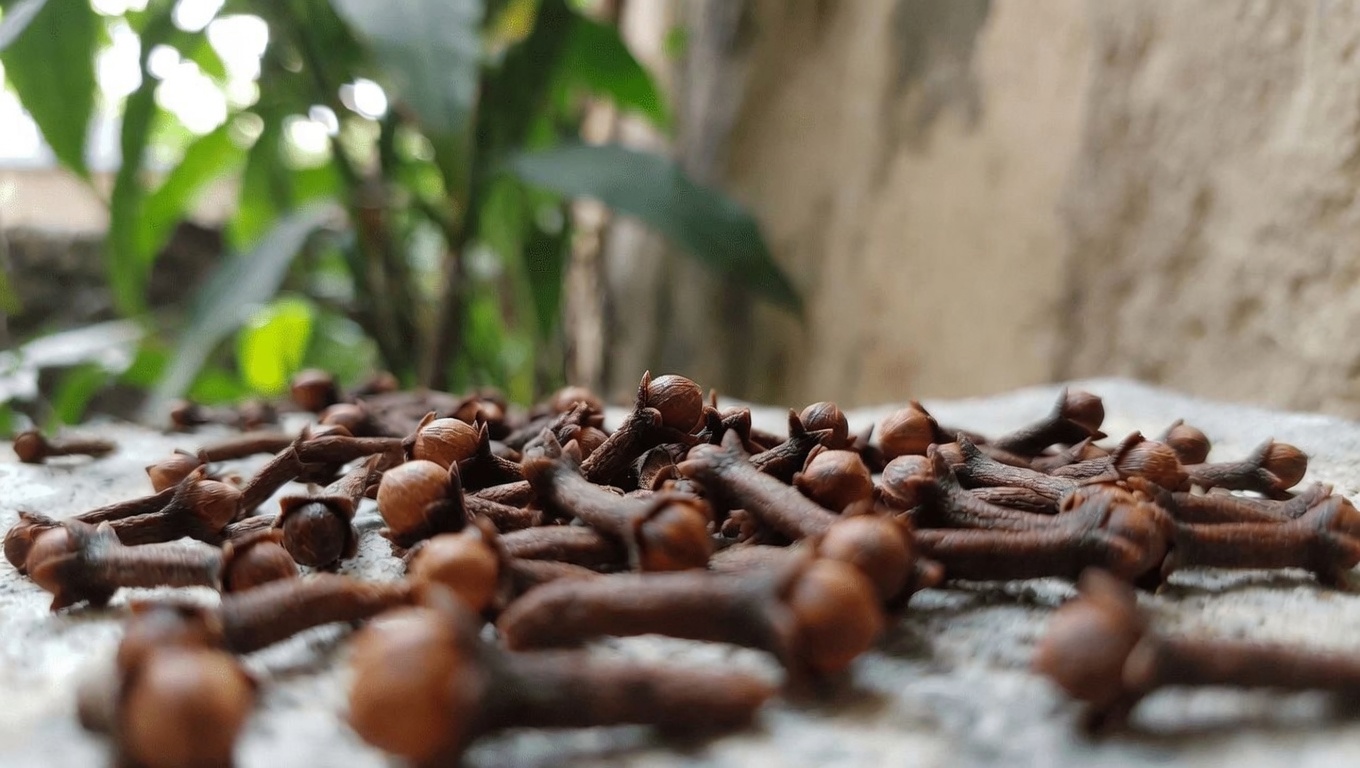 Mâchez seulement 2 clous de girofle par jour — Découvrez les façons surprenantes dont cette simple habitude peut soutenir votre bien-être naturellement