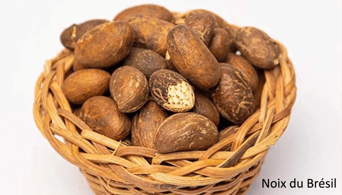 Noix de kola amère, gingembre, ail et citron vert : exploration d’un tonique naturel traditionnel pour l’énergie quotidienne et la vitalité