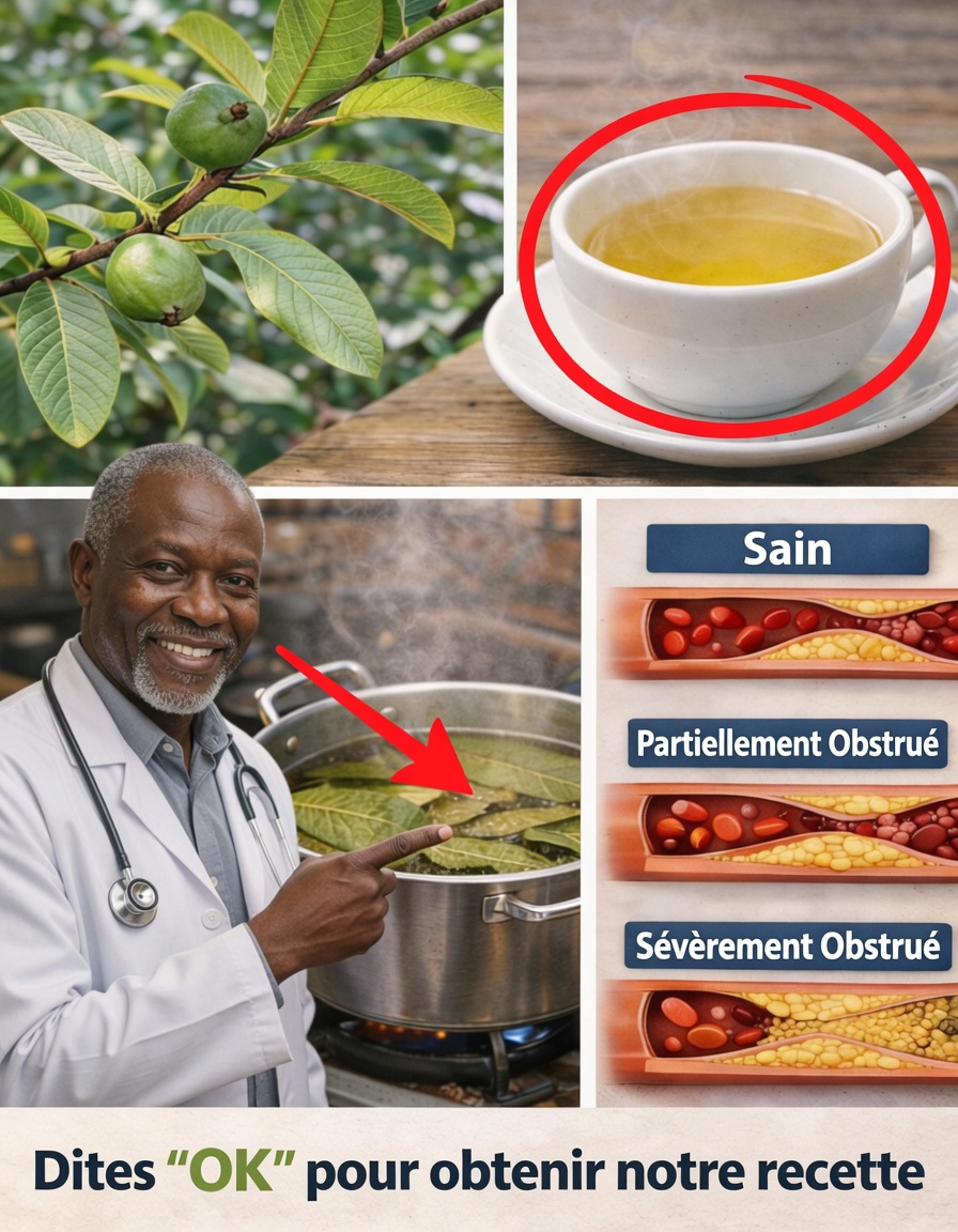 Bienfaits des feuilles de goyavier : pourquoi cette feuille du quotidien mérite une place dans votre routine bien-être