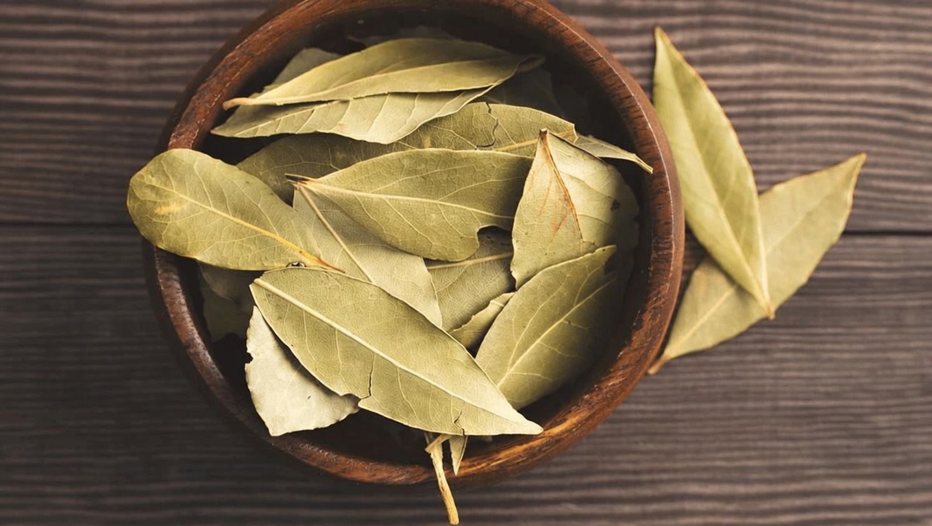 Feuille de laurier : l’ingrédient incontournable en cuisine qui pourrait favoriser une peau plus lisse et d’apparence plus jeune en vieillissant