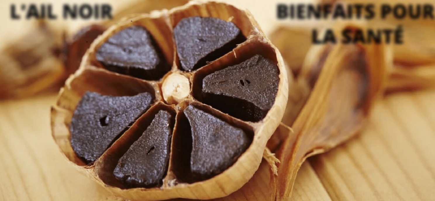 Est-il vrai que l’ail tue 14 types de bactéries et 13 types d’infections ?