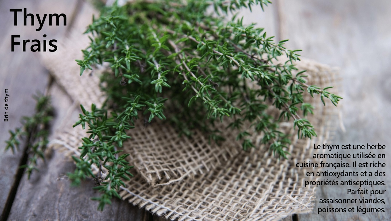 La plante la plus puissante : le thym sauvage – l’allié de la nature contre les parasites, les infections et les douleurs articulaires