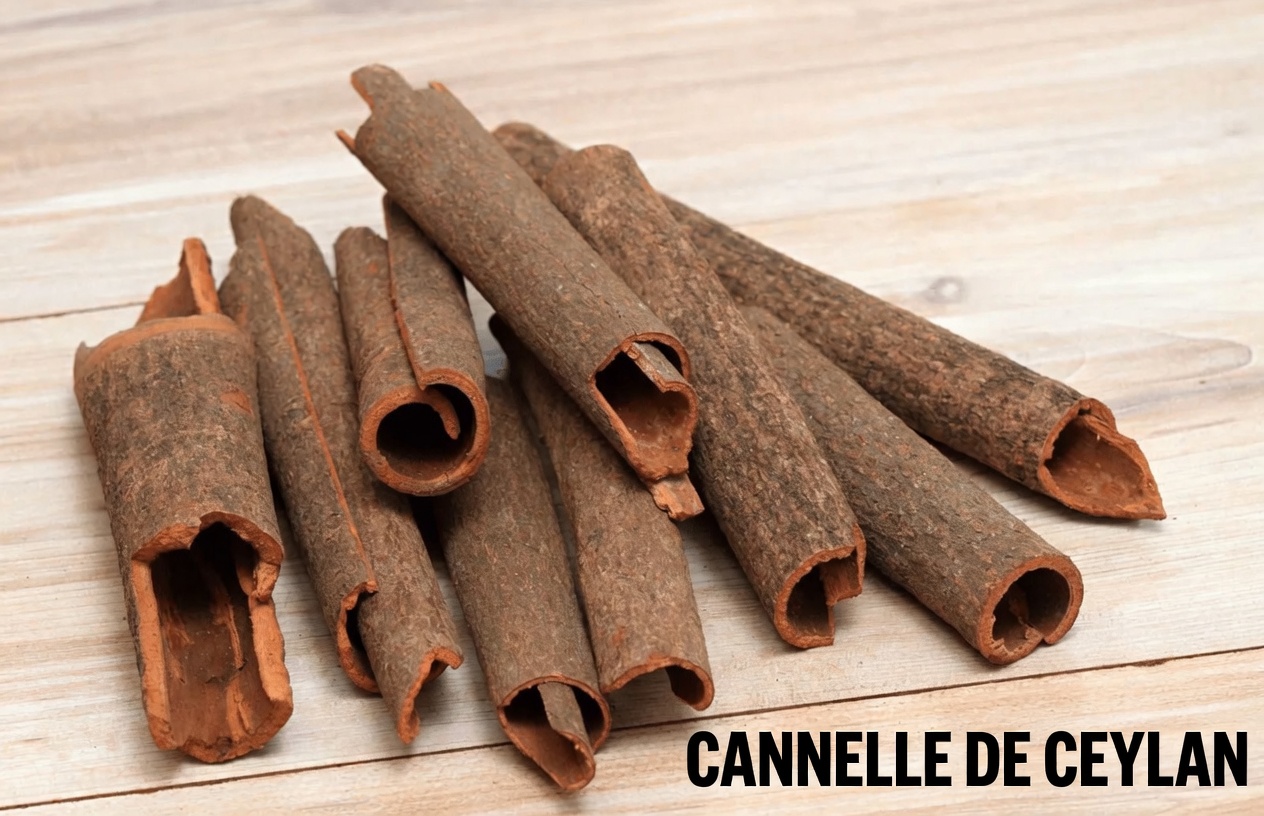 Le thé doré oublié vieux de 100 ans qui fait fondre le cholestérol, équilibre la glycémie et restaure les reins