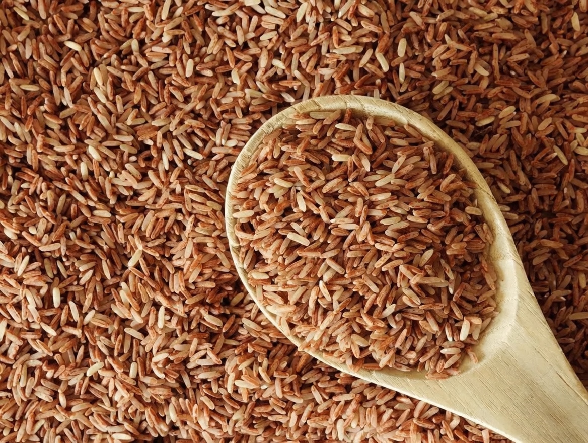 Aliments naturels pour soutenir la santé du cartilage du genou : protégez vos articulations intelligemment