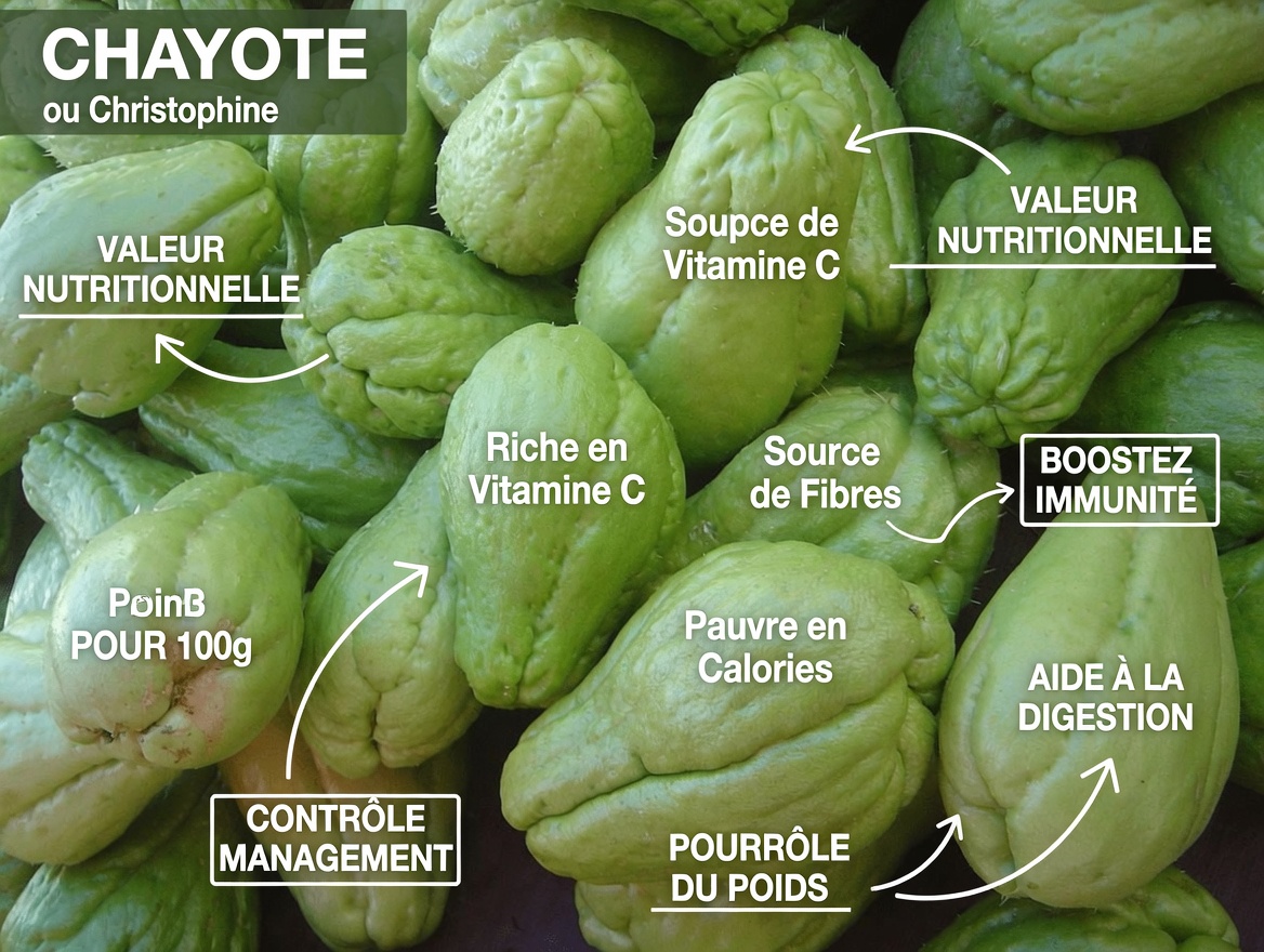 Découvrez la simple infusion de chayote, d’ail et de citron : une manière rafraîchissante de soutenir votre bien-être quotidien