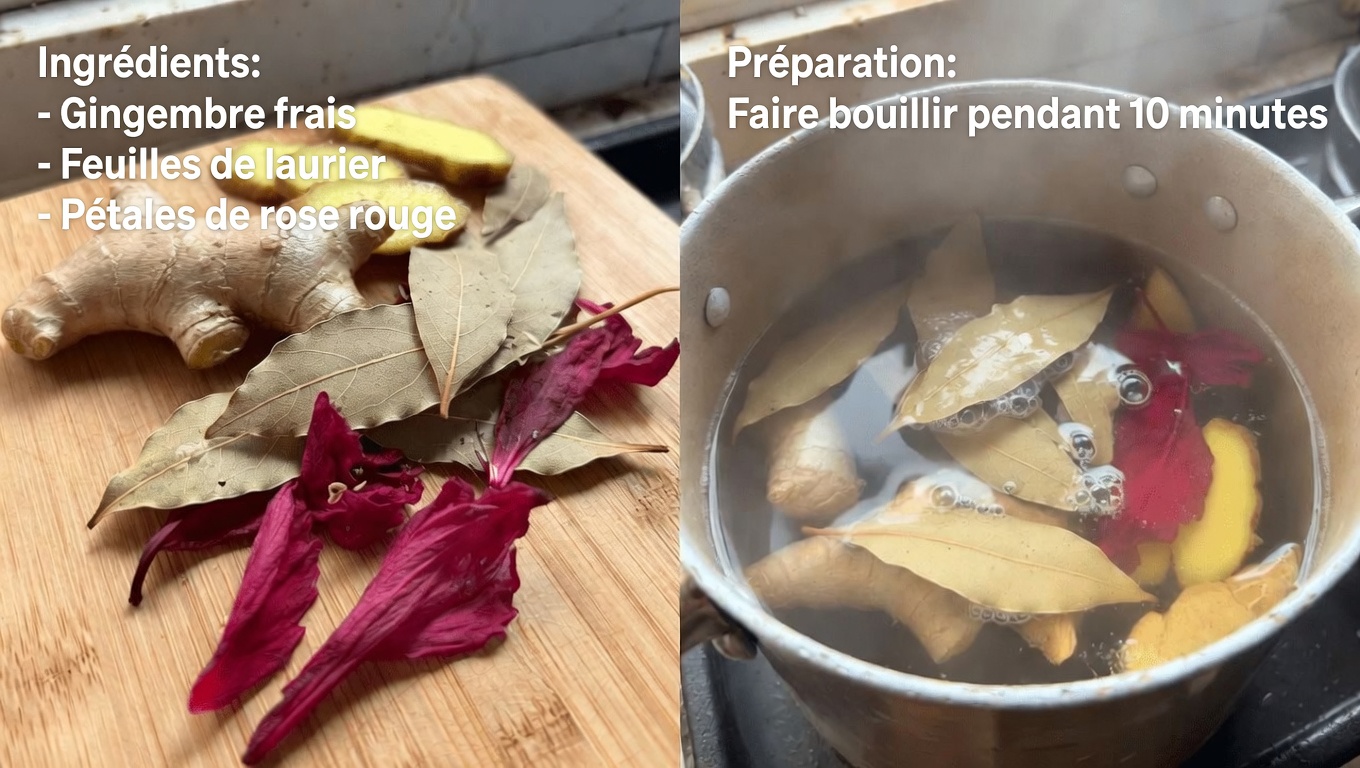 Découvrez la boisson aux herbes rafraîchissante au gingembre, aux feuilles de laurier et à l’hibiscus : un rituel quotidien simple pour explorer le bien-être