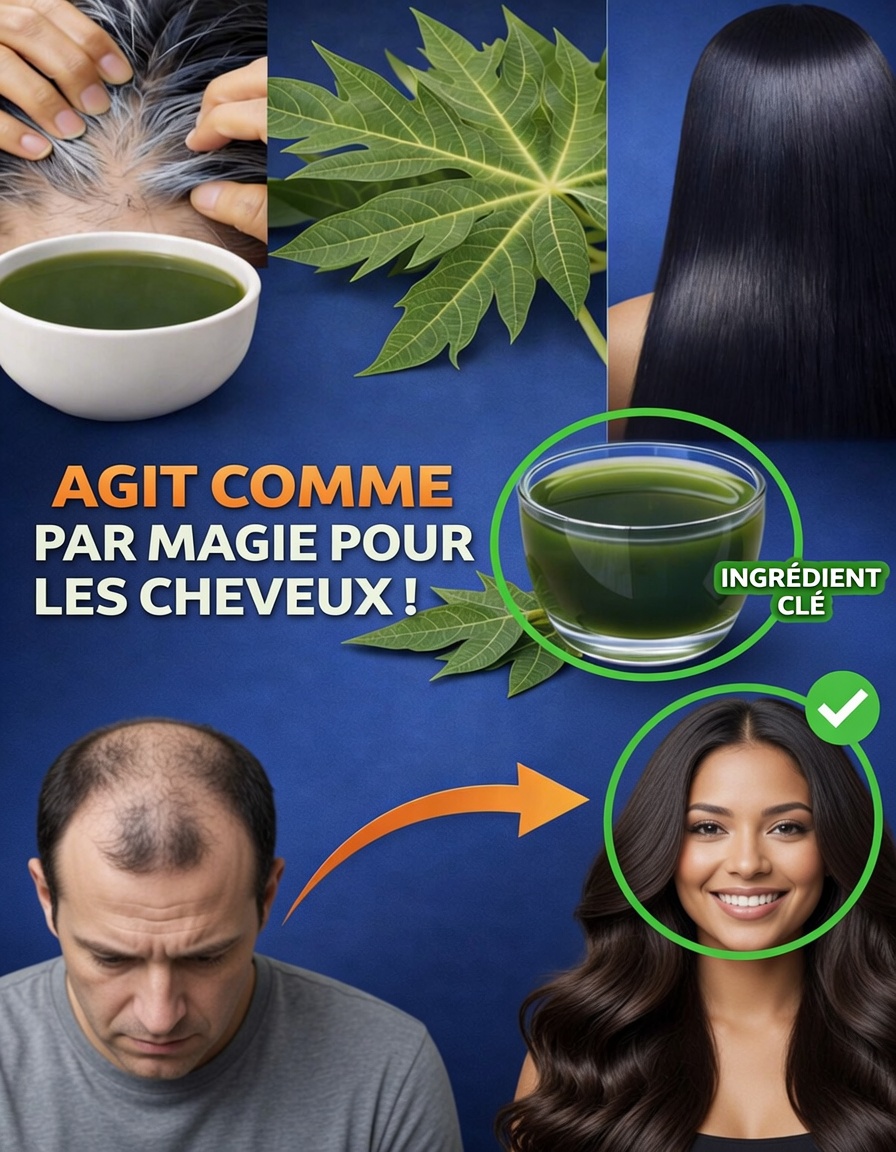 Découvrez le potentiel des feuilles de papayer pour des cheveux plus sains et plus fournis du jour au lendemain