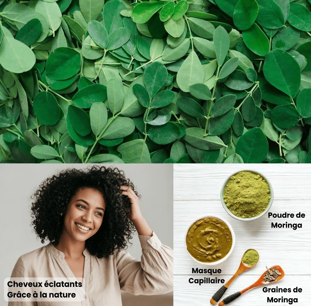 Découvrez trois façons simples et naturelles d’utiliser le moringa dans votre routine pour de potentiels bienfaits sur la pousse des cheveux
