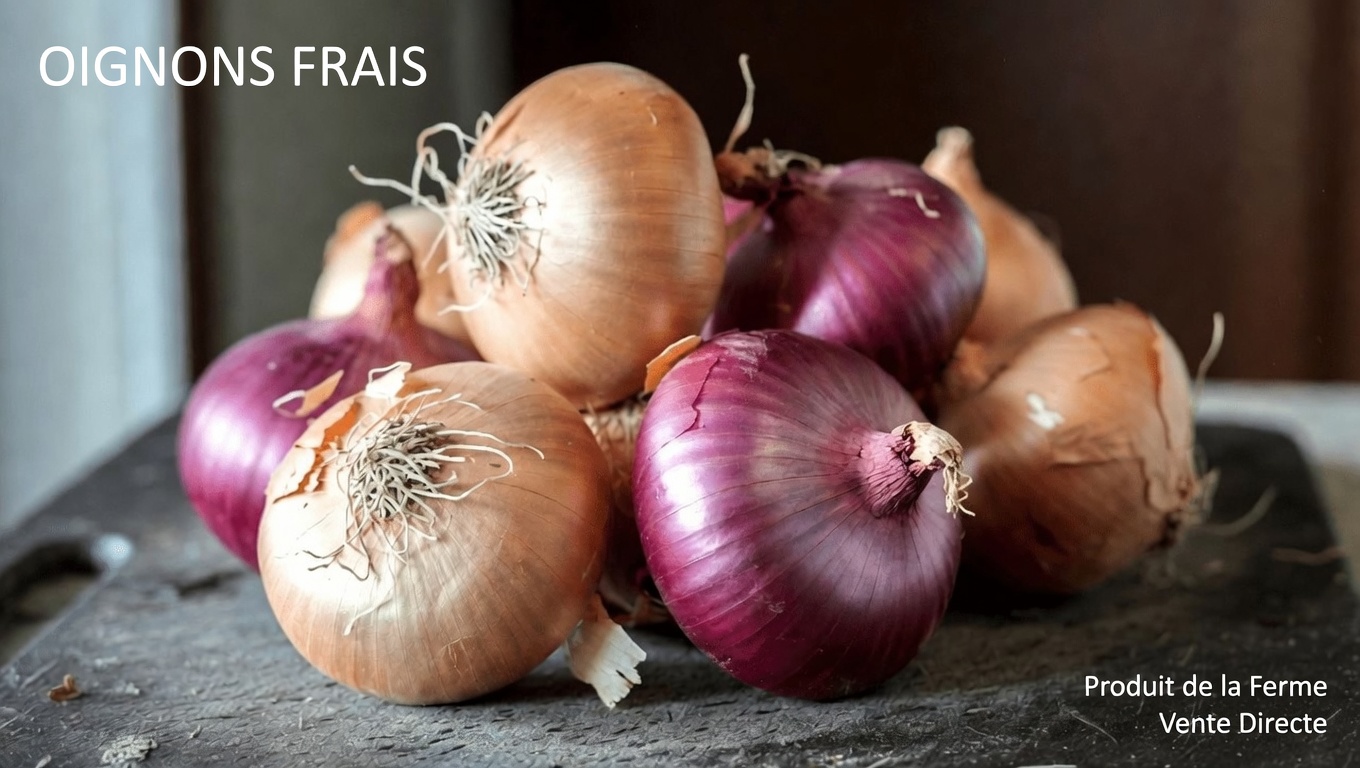 Découvrez les moyens naturels par lesquels les oignons rouges peuvent soutenir la santé du cœur, de l’intestin et de la peau dans votre alimentation quotidienne