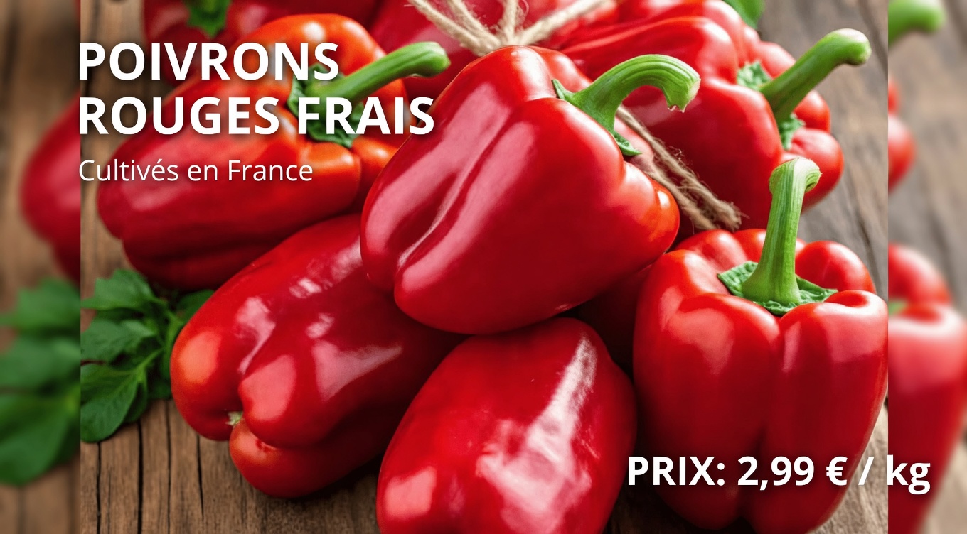 Les habitudes quotidiennes et les aliments soutiennent-ils naturellement la santé de vos reins ? Découvrez des moyens simples de favoriser un meilleur fonctionnement des reins