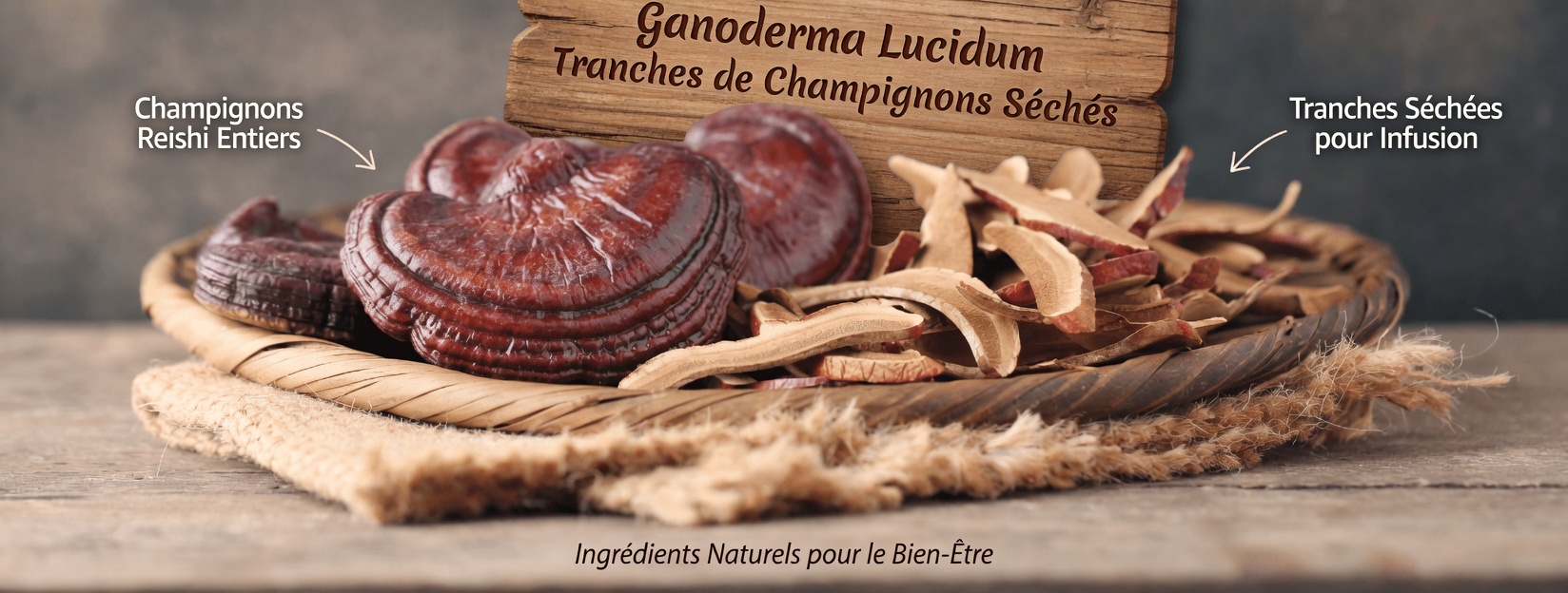 Découvrez les bienfaits potentiels du champignon reishi pour soutenir la santé du sein par des voies naturelles