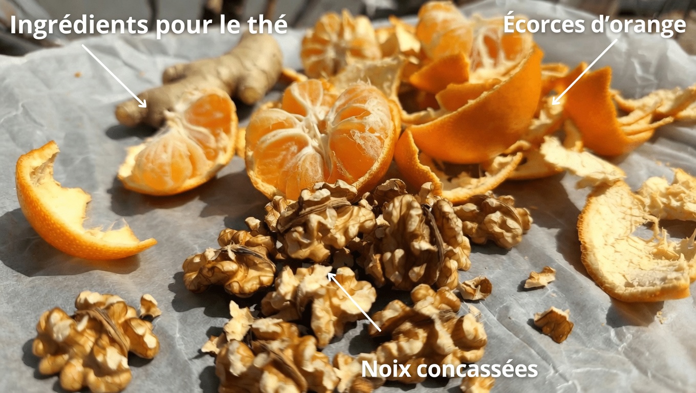 Méthodes naturelles pour soutenir la santé des reins, du foie et des poumons avec la mandarine, les noix et le gingembre