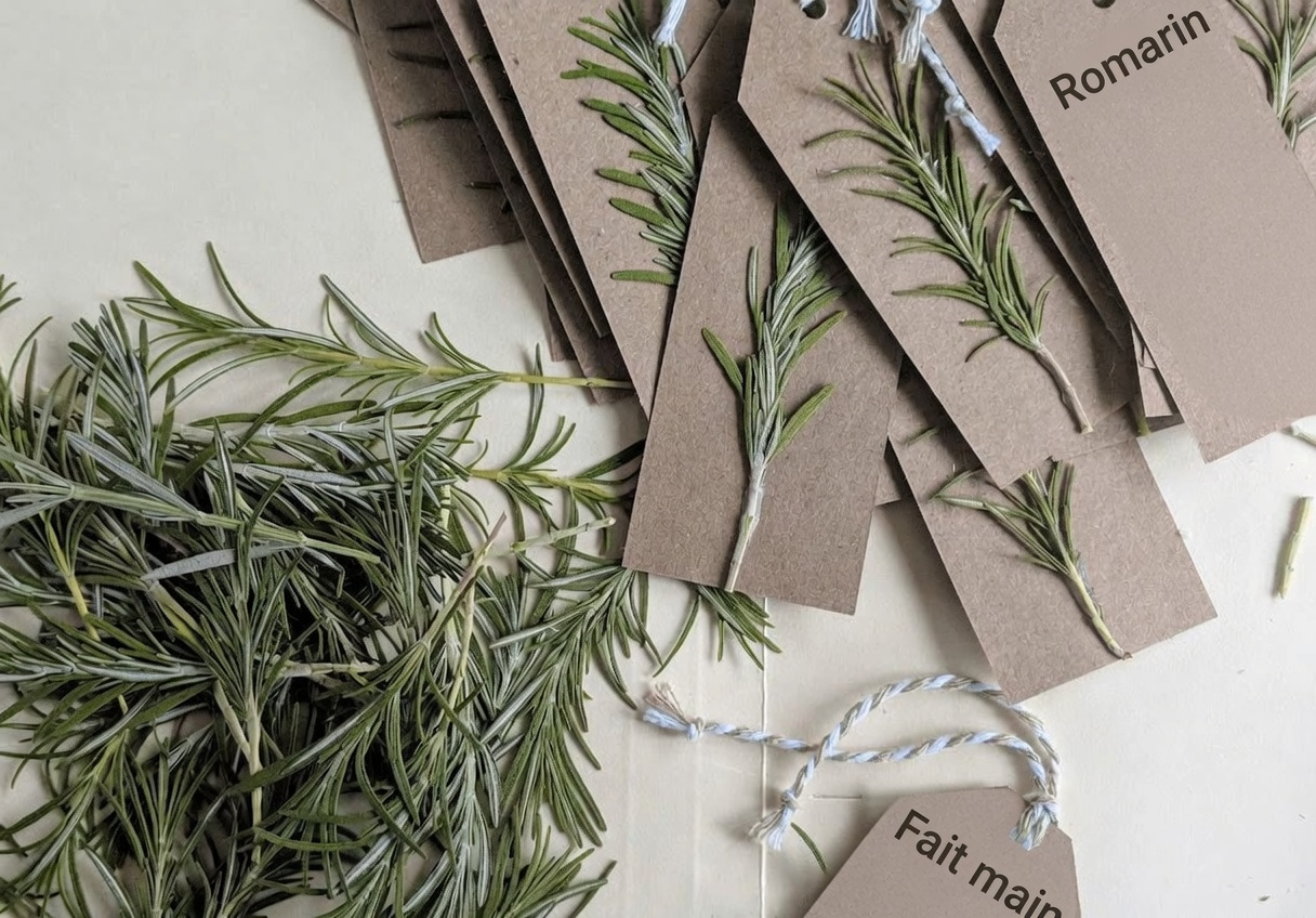 Explorer le potentiel du romarin pour soulager les douleurs musculaires et articulaires : guide d’utilisation naturelle