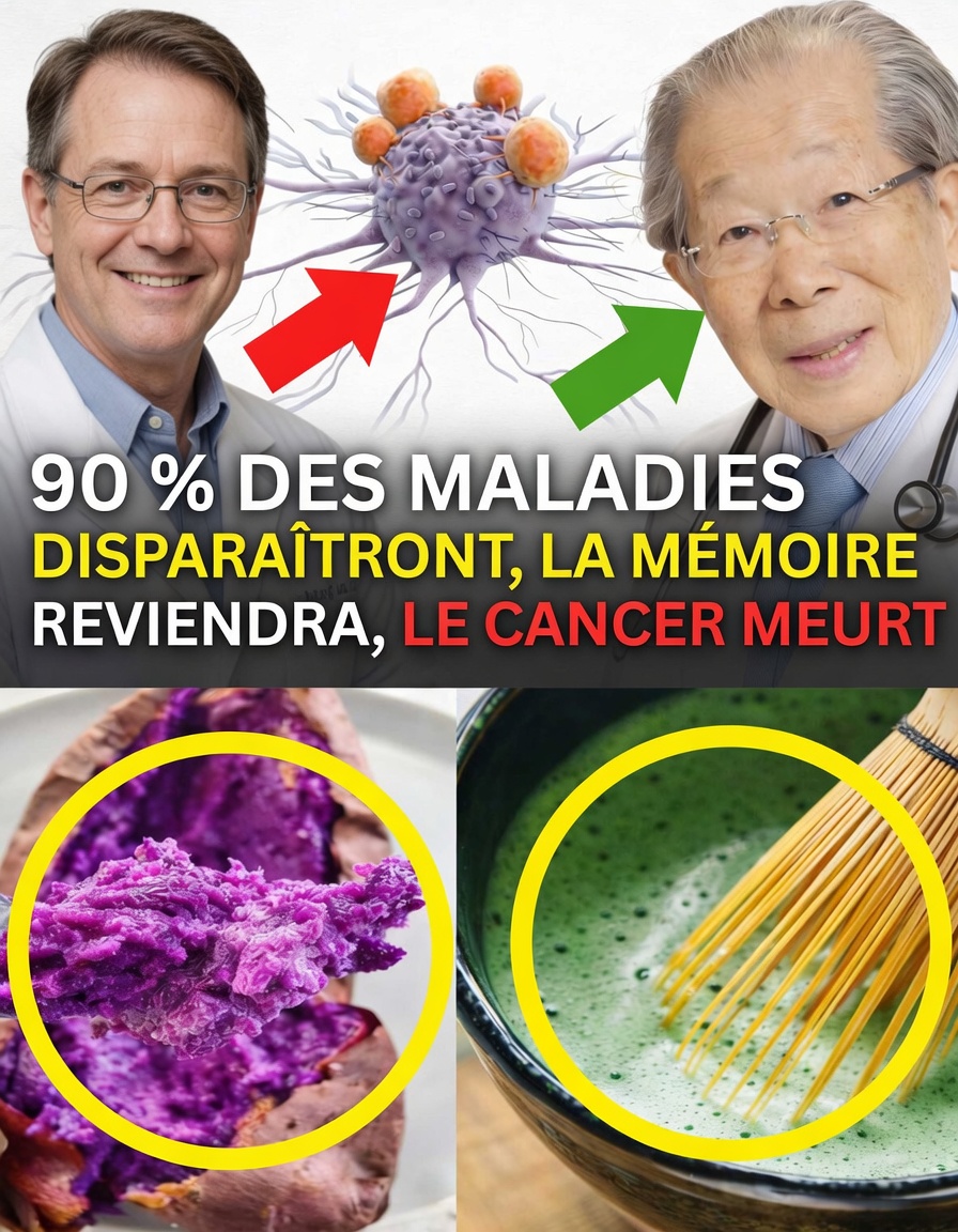 Découvrez les secrets des centenaires japonais : des habitudes alimentaires quotidiennes inspirées d’Okinawa pour un vieillissement en meilleure santé