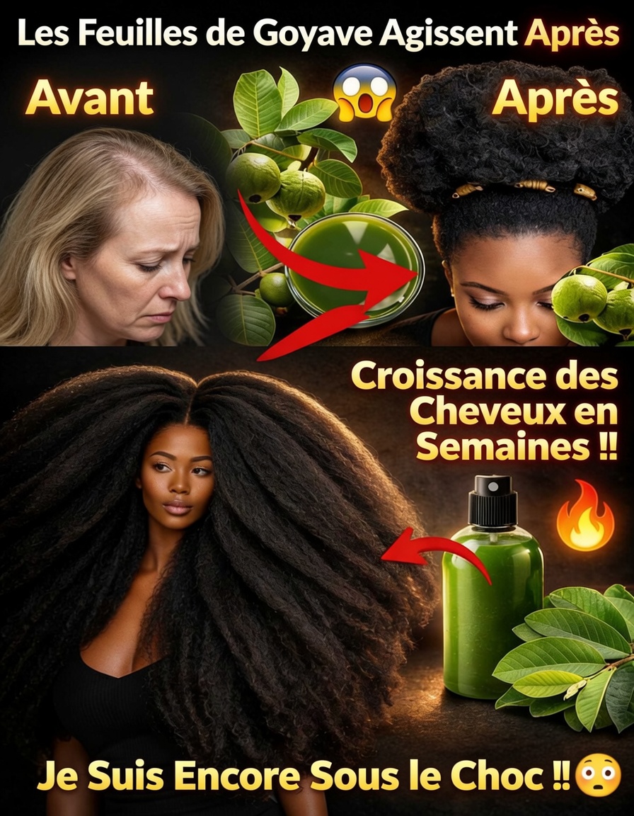 Explorer les feuilles de goyavier : une option naturelle pour soutenir la santé et la croissance des cheveux