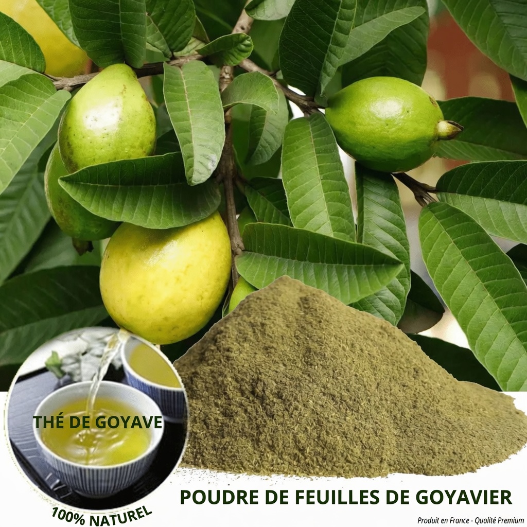 Explorer les feuilles de goyavier : une option naturelle pour soutenir la santé et la croissance des cheveux