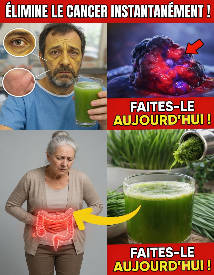 15 boissons fondées sur des données probantes qui pourraient contribuer à la prévention du cancer grâce à l’alimentation et au mode de vie