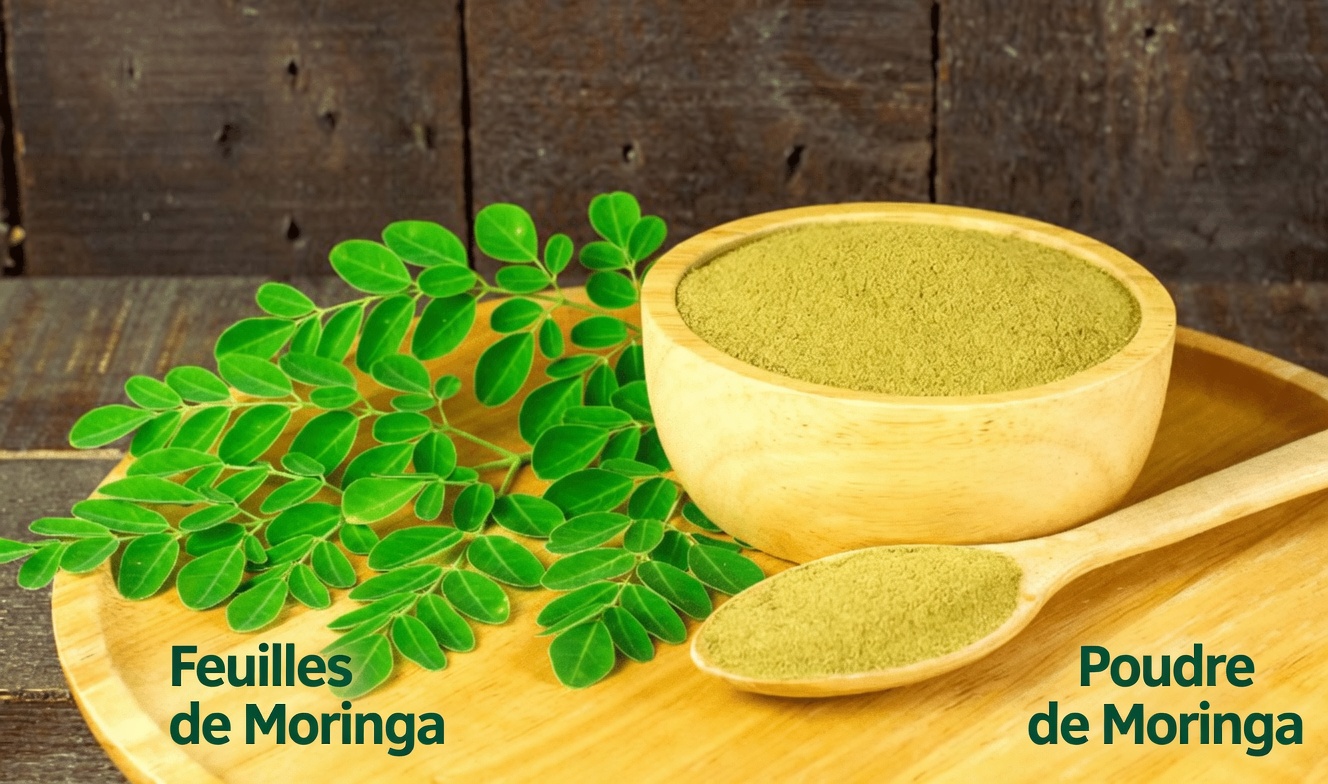 Découvrir les alliés cachés de la nature : 15 habitudes de vie qui pourraient soutenir les défenses naturelles de votre corps contre le risque de cancer