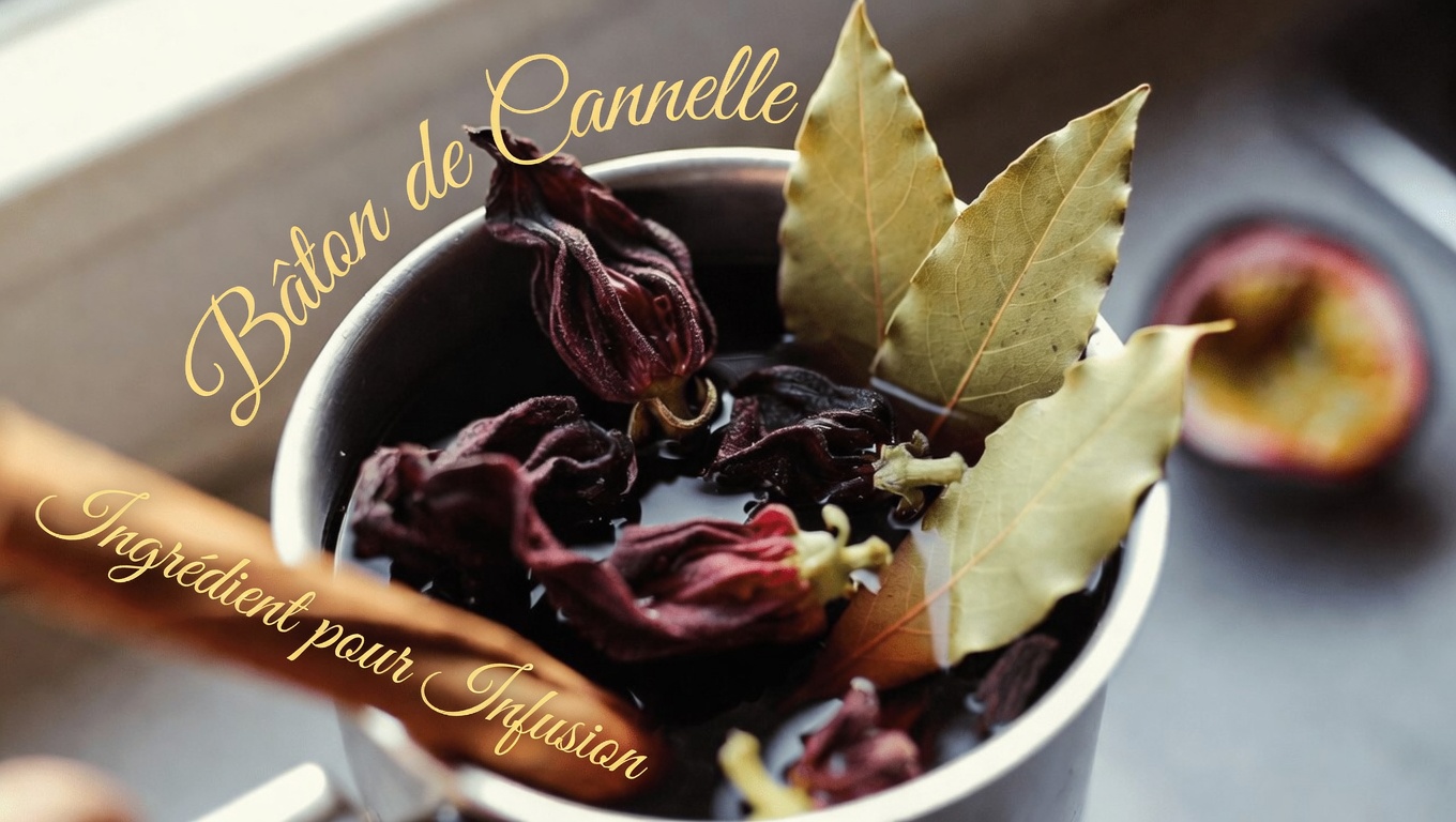 Un mélange simple de tisane : découverte de l’hibiscus, de la feuille de laurier et de la cannelle pour le bien-être au quotidien