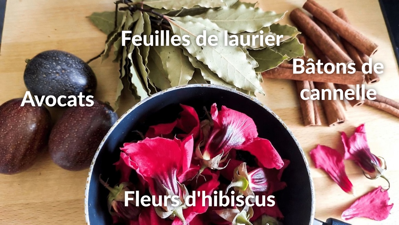 Un mélange simple de tisane : découverte de l’hibiscus, de la feuille de laurier et de la cannelle pour le bien-être au quotidien