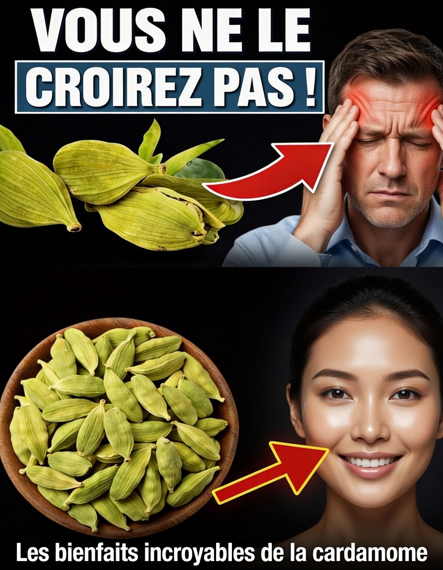 Les puissants bienfaits de la cardamome au-delà de la cuisine : 18 usages cachés qui pourraient changer votre santé à jamais
