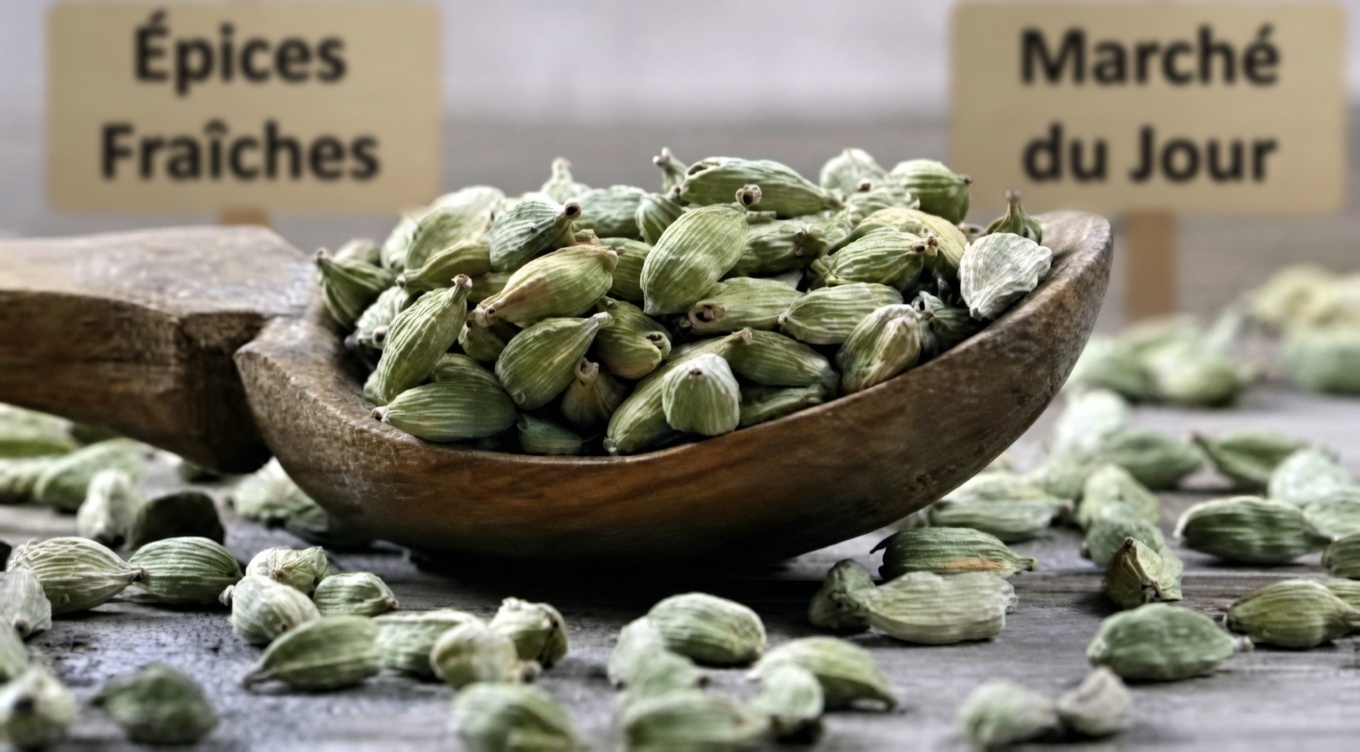 Les puissants bienfaits de la cardamome au-delà de la cuisine : 18 usages cachés qui pourraient changer votre santé à jamais