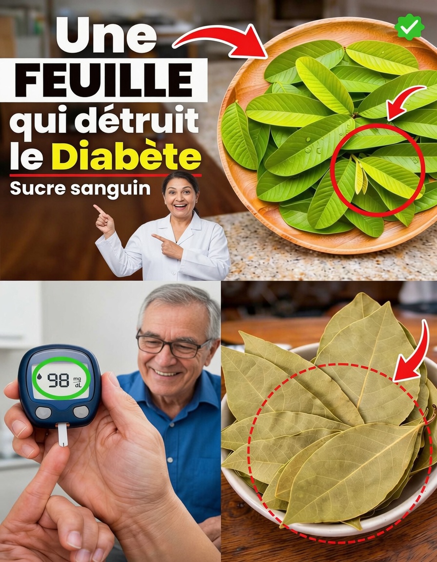 Exploration de trois feuilles courantes susceptibles de favoriser un taux de glycémie sain : éclairages issus de la recherche