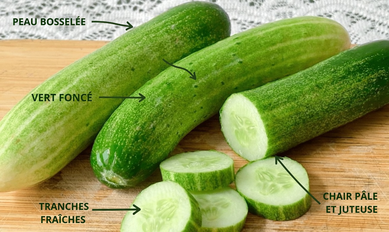 3 habitudes quotidiennes qui peuvent aider à améliorer naturellement la vue sans lunettes