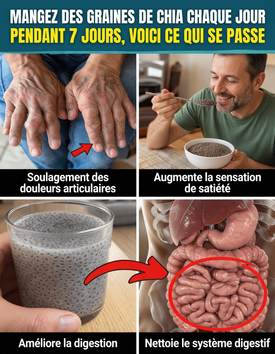 Que se passe-t-il lorsque vous mangez des graines de chia chaque jour pendant 7 jours et à quoi vous attendre de manière réaliste