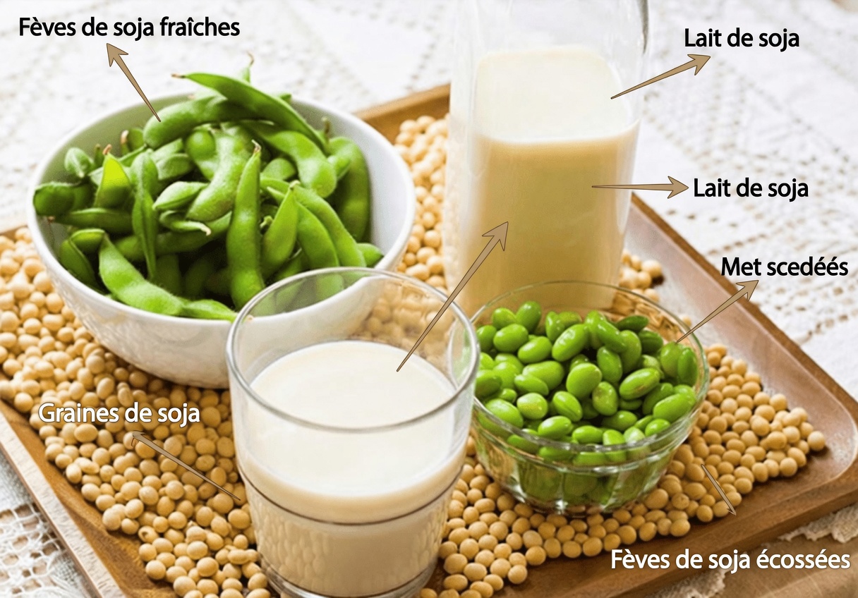 Des aliments quotidiens simples liés au vieillissement en bonne santé et à la longévité selon la recherche scientifique