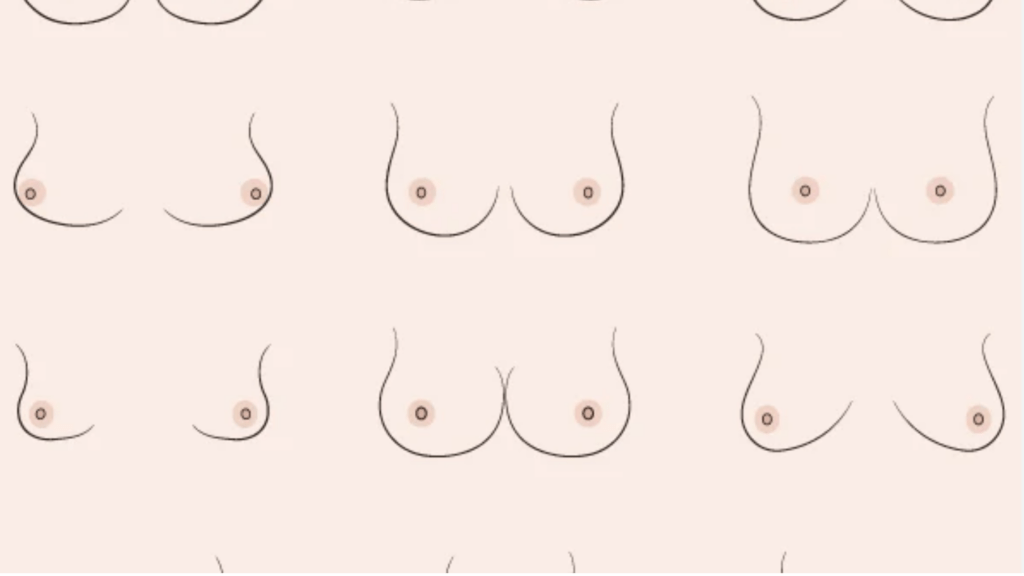 Ce que les petits seins indiquent réellement sur la santé, les hormones et la confiance en son corps chez les femmes : explication