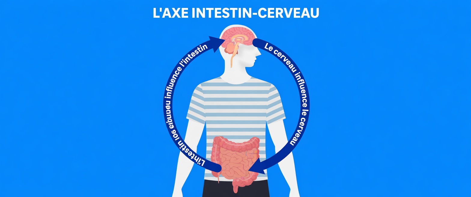 Pourquoi vous devez aller à la selle immédiatement après avoir mangé et ce que cela signifie vraiment pour votre santé digestive