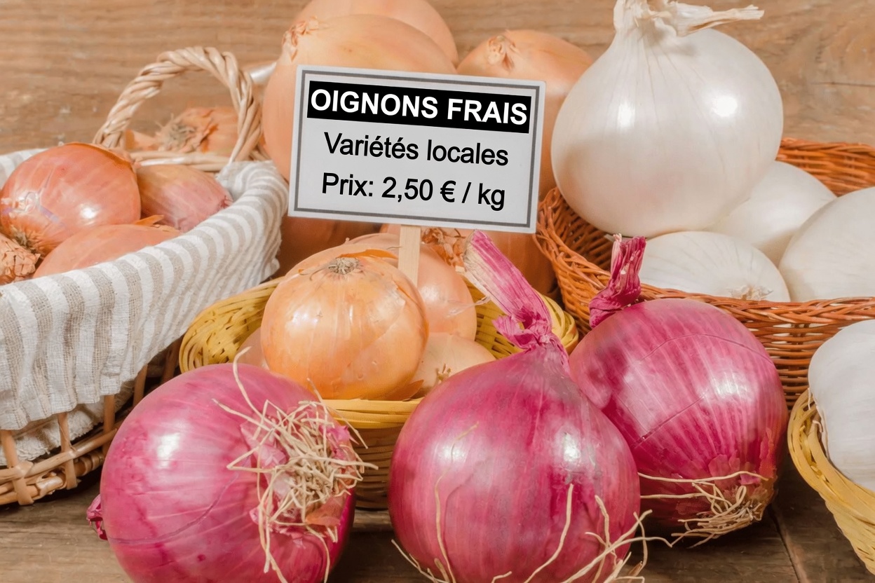 Boisson à l’oignon rouge pour soutenir la perte de graisse abdominale : une habitude simple à explorer ?