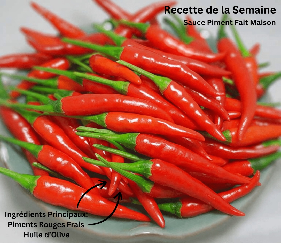 20 utilisations surprenantes du piment de Cayenne pour le bien-être au quotidien et les habitudes à la maison