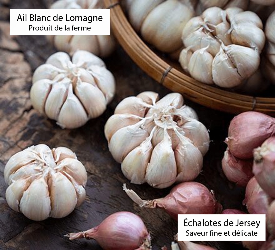 Mangez de l’ail pour une meilleure santé après 50 ans – mais évitez ces 7 erreurs courantes de préparation