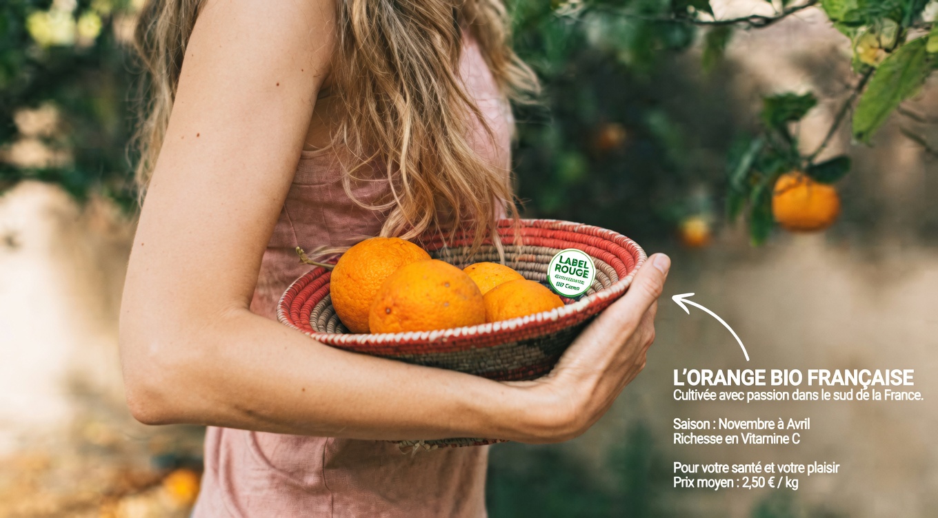 Top 3 fruits à inclure dans votre plan alimentaire pour les personnes diabétiques