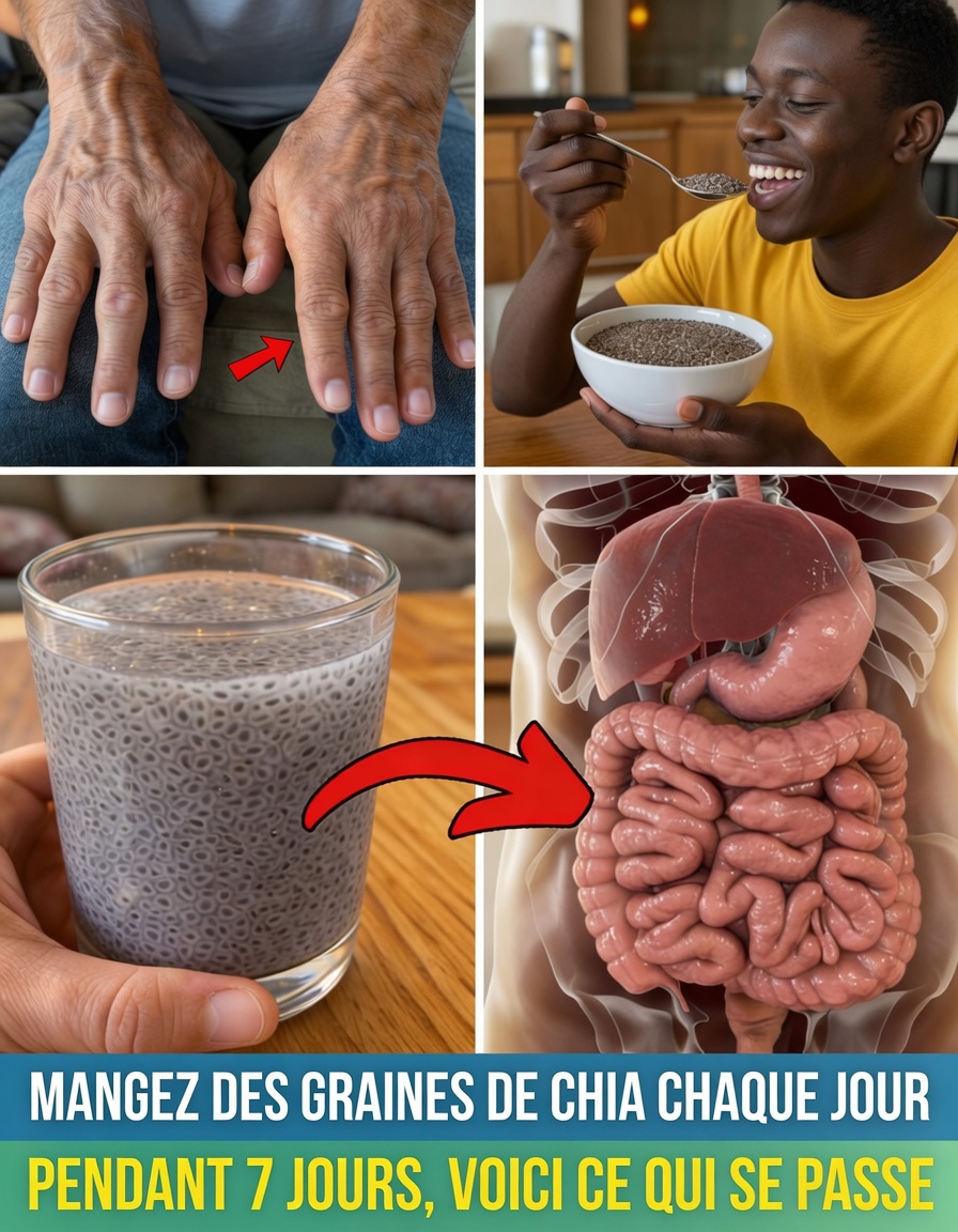 Que se passe-t-il quand vous mangez des graines de chia tous les jours pendant 7 jours (pas ce à quoi vous vous attendez)