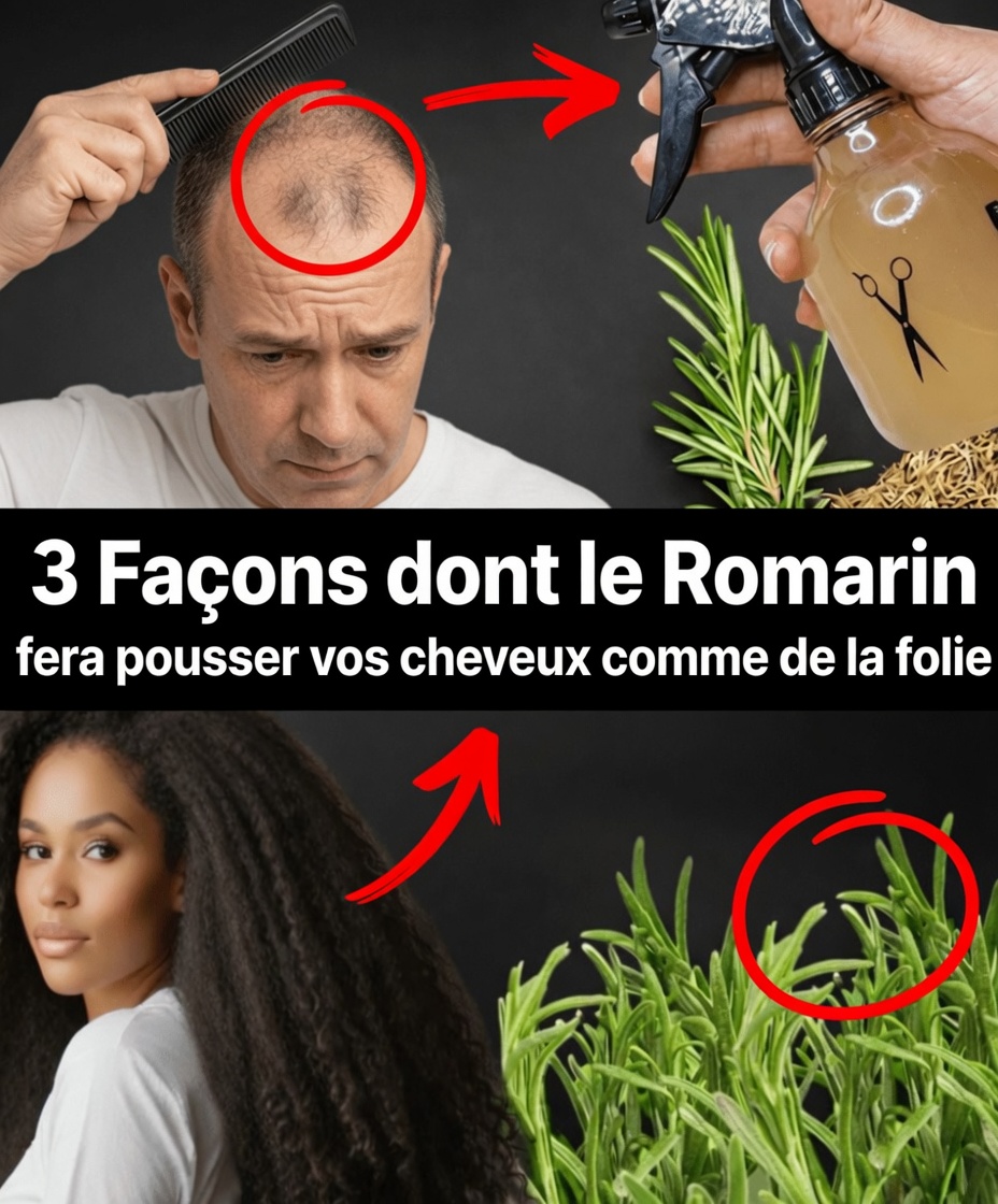 3 façons pratiques d’intégrer le romarin pour des cheveux plus sains et visiblement plus denses