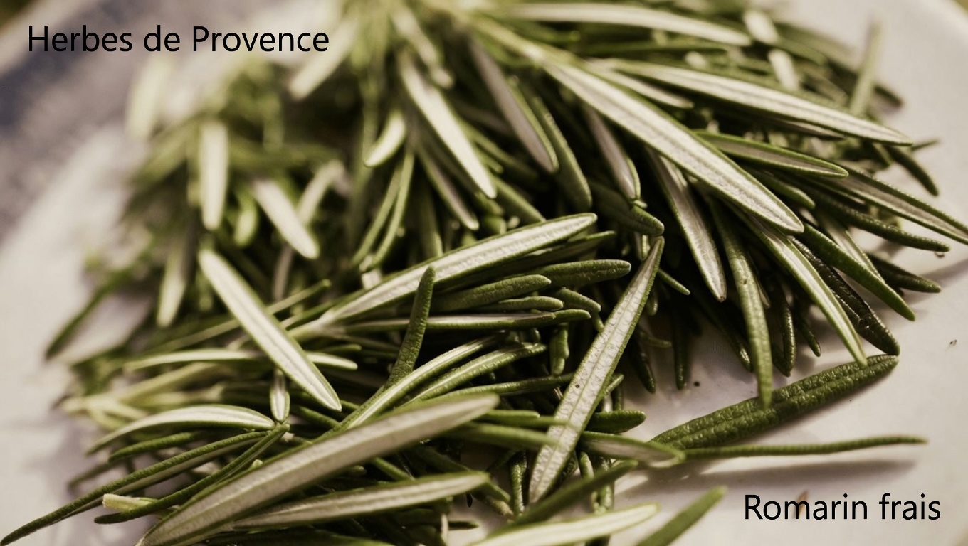 3 façons pratiques d’intégrer le romarin pour des cheveux plus sains et visiblement plus denses