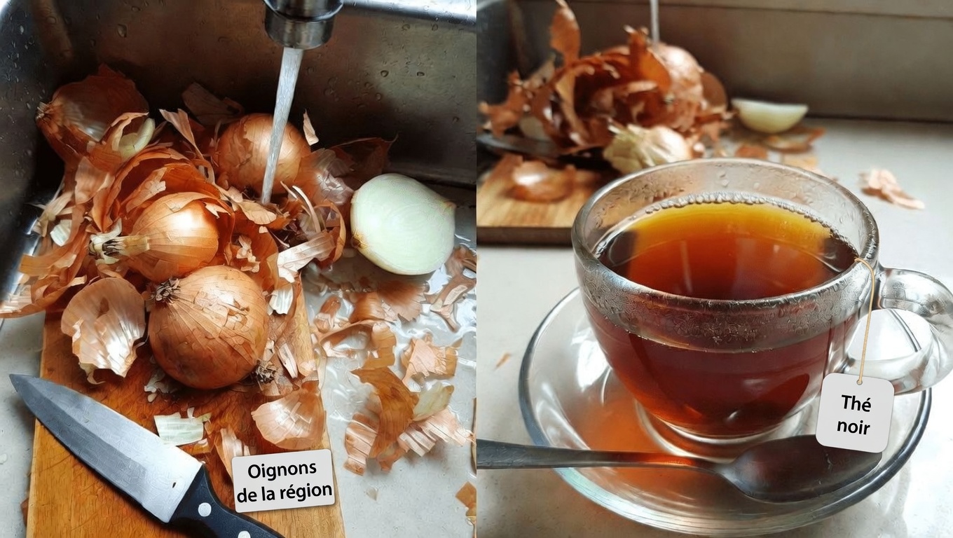 Explorer le potentiel des remèdes à l’oignon pour le confort de la prostate et de la vessie : une approche simple à domicile