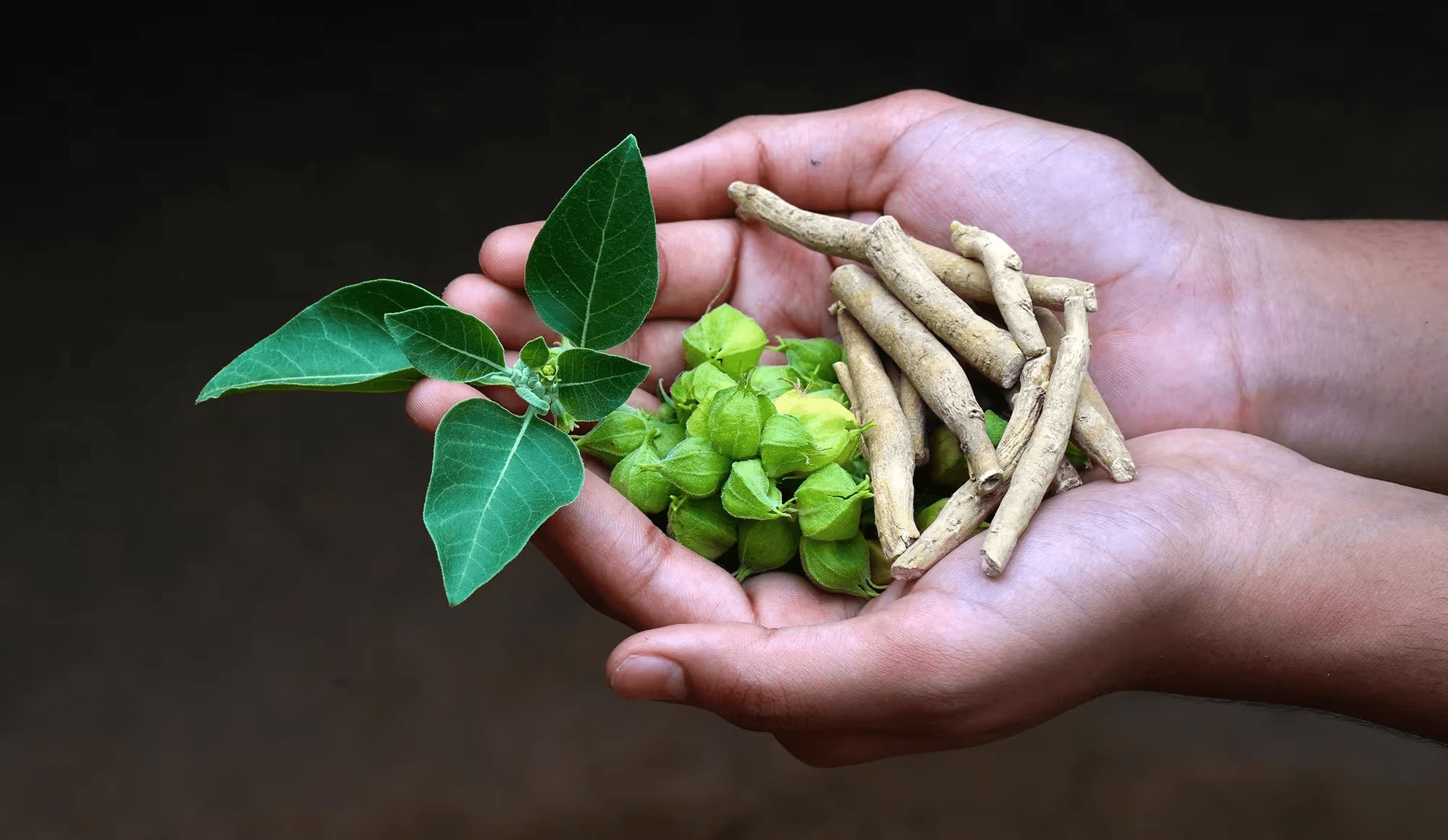 Pourquoi ce rituel matinal ancestral suscite-t-il l’intérêt des hommes en quête de vitalité et d’énergie au quotidien