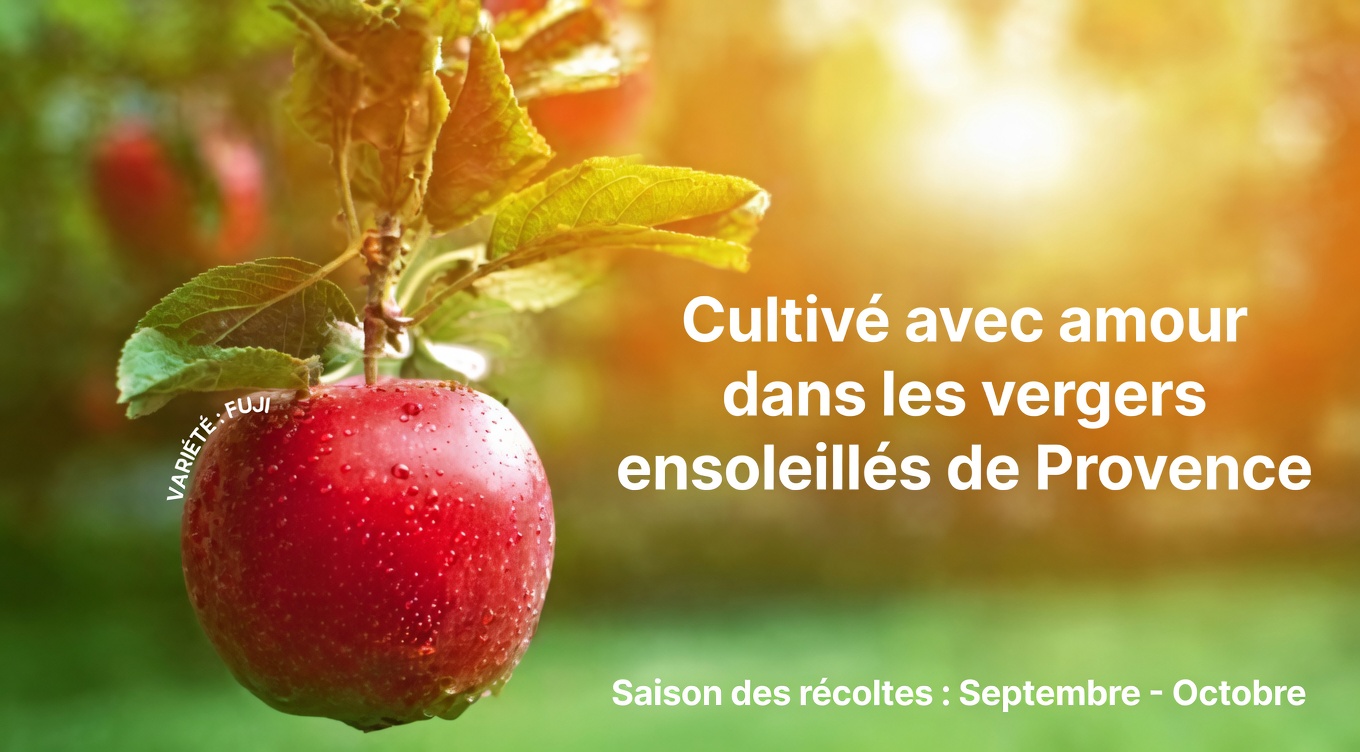 Une boisson matinale simple pour favoriser la santé du cœur et une bonne circulation