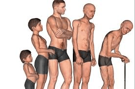 Sarcopénie : comprendre la perte musculaire après 50 ans et des moyens simples de rester fort