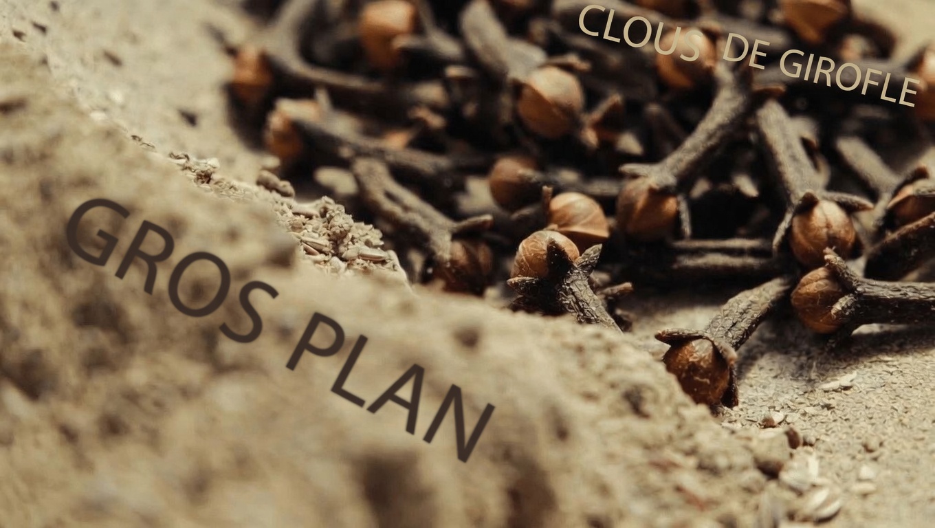 Clous de girofle et graines de lin : exploration d’un duo naturel simple pour un confort digestif au quotidien