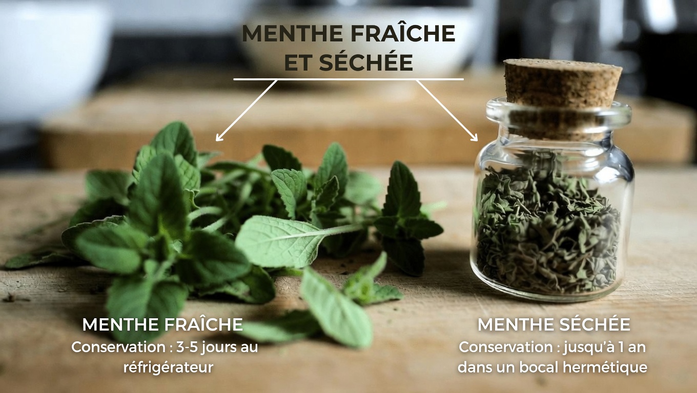 Cette herbe aromatique du quotidien pourrait-elle soutenir la santé de vos yeux à l’ère du numérique ?