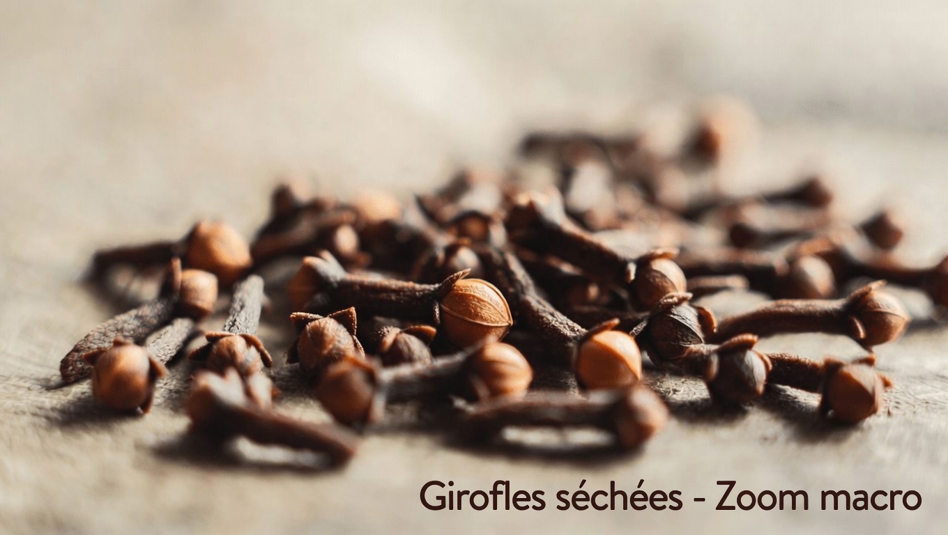 Bains de siège à l’eau de clou de girofle : une tradition douce pour le confort intime et l’hygiène des femmes